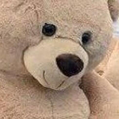 A zoomed in pic of a teddy bear
